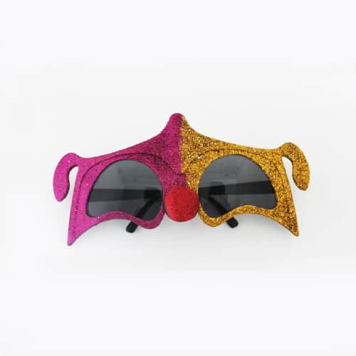 14.dog party glasses.jpg