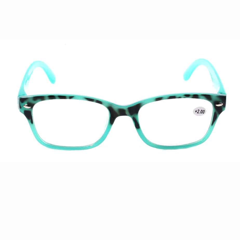 2019 custom logo pc reading glasses for men and women 1.jpg