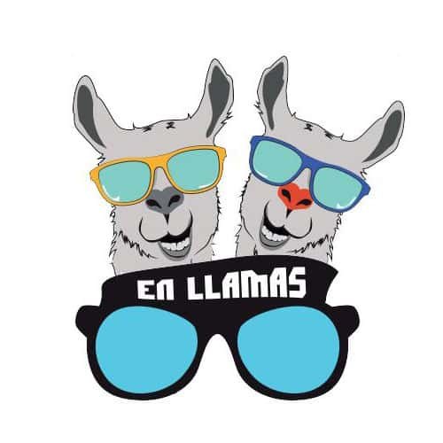 82.en llamas glasses.jpg