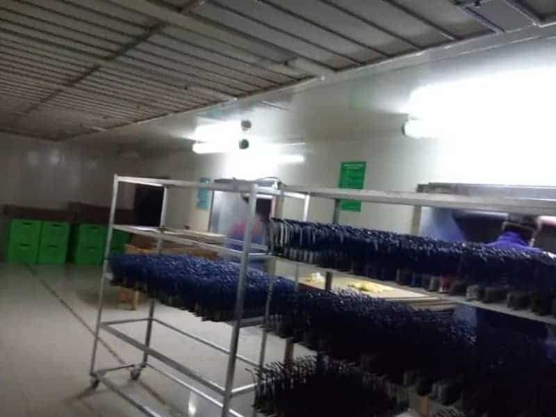eco friendly sunglasses manufacturer.jpg