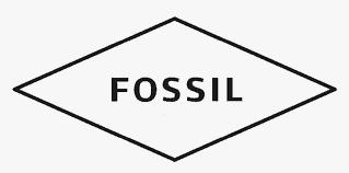 fossil .png