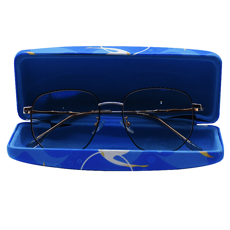 Eyeglass Case Wholesale Y & T